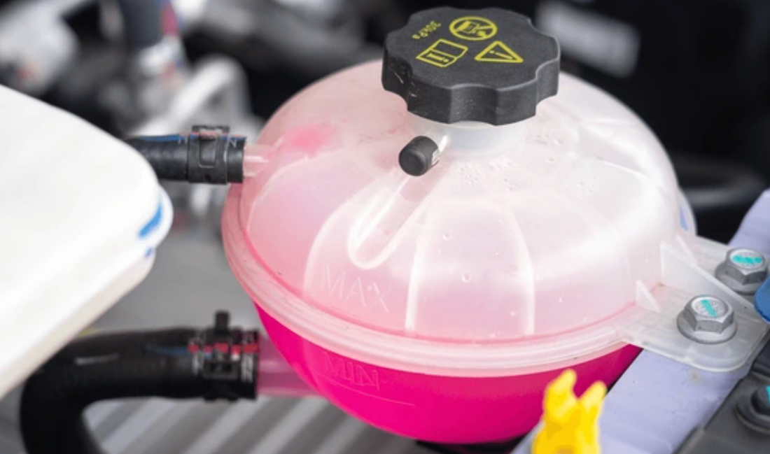 Tipi di Paraflu: tutto quello che devi sapere