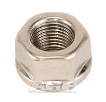 ARP 1/2in-20 SS Hex Nut Kit