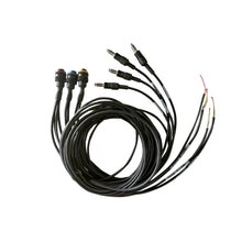 CABLAGGIO AMPLIFICATORE FEARLESS CANBUS WRC OMP