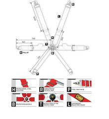 Cinture di sicurezza PULL UP FIA 8853-2016 OMP