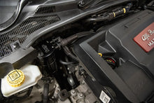 Kit Recupero Vapori Olio Forge Motorsport - Abarth Punto Evo - Alfa Romeo Mito QV