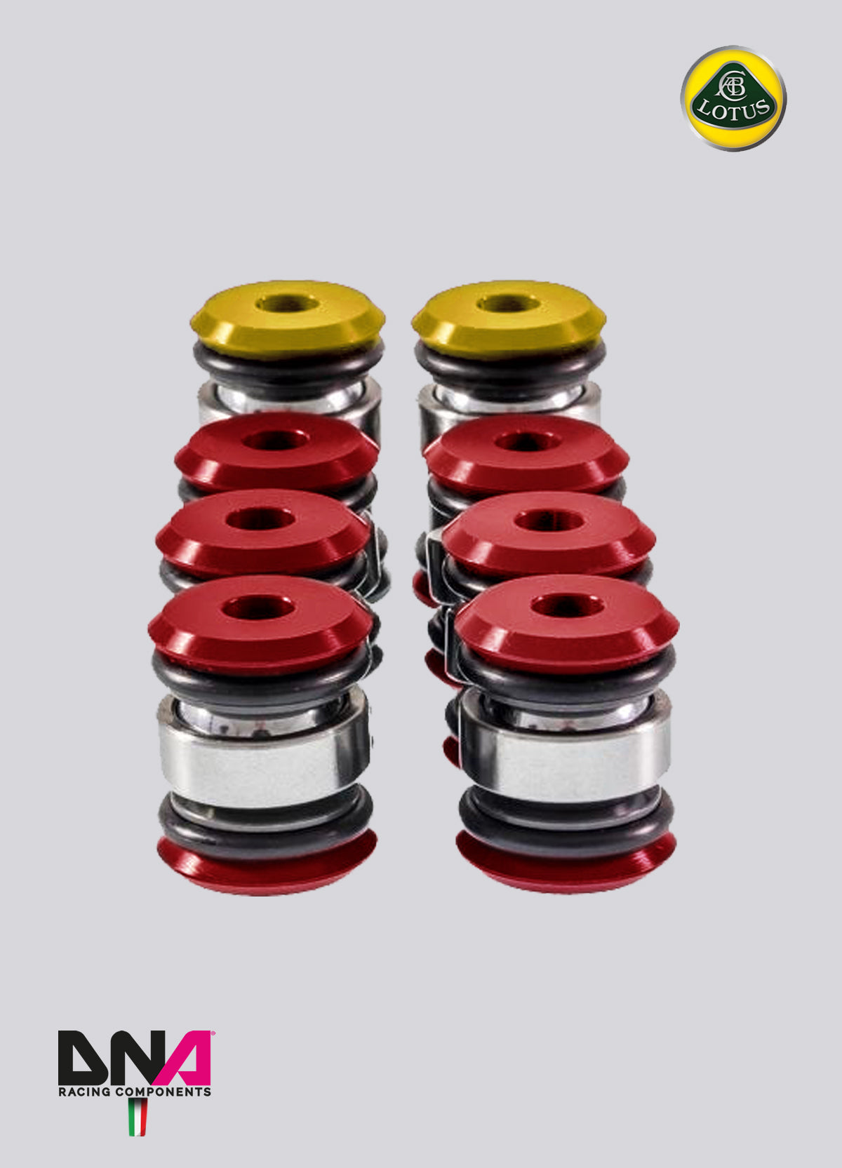 Kit uniball trapezi standard (parziale) DNA Racing Lotus Elise Exige S2