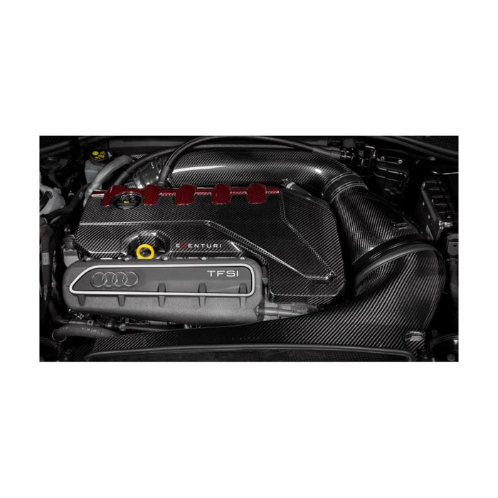 Copertura motore in carbonio Eventuri Audi RS3