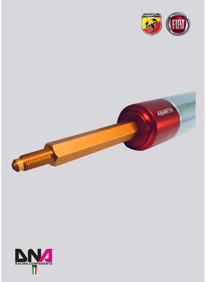 Kit barra duomi posteriori senza tiranti 4 posti DNA Racing - Abarth 500 / 595 / 695