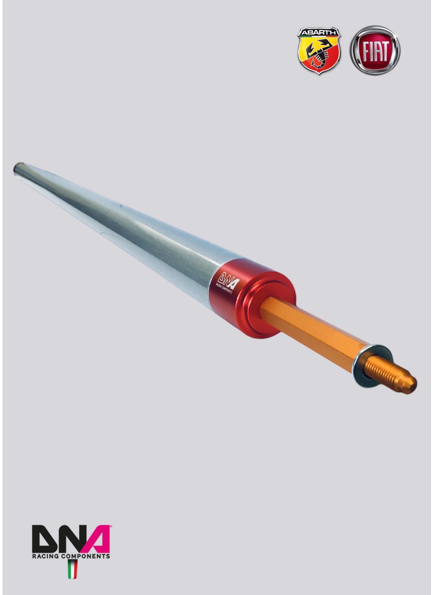 Kit barra duomi posteriori senza tiranti 4 posti DNA Racing - Abarth 500 / 595 / 695